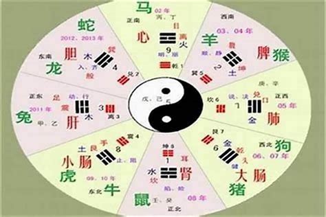 珊五行|珊字的五行属性是什么